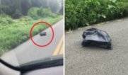 Жена вижда мърдаща торба на пътя и когато спира да види какво има вътре...
