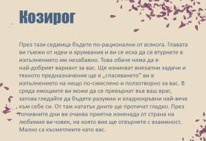 2017/10/09/0383535001507537841