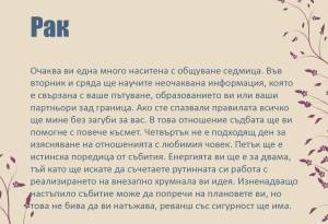 2017/10/09/0408272001507537835