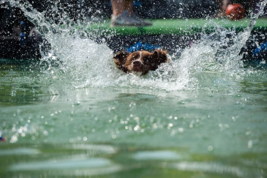 Снимки: Getty Images/Guliver