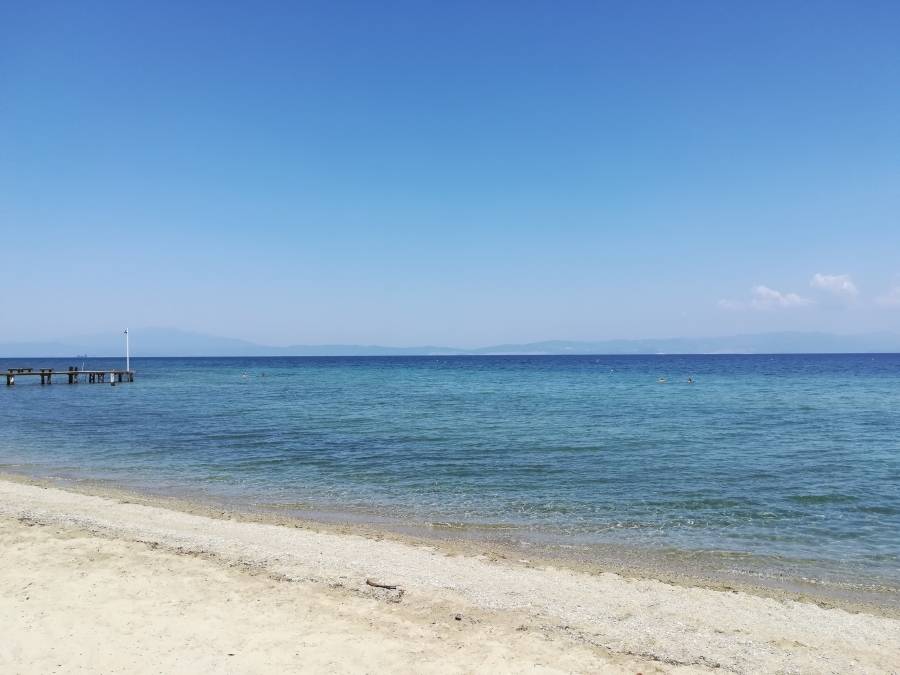 2019/06/17/0179043001560777862