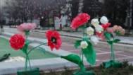 Благоевград посрещна пролетта