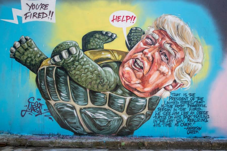 Тръмп вдъхнови графити артист