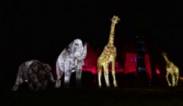Светлинно шоу в зоологическата градина в Честър