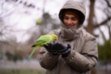 Момче храни папагал в лондонски парк