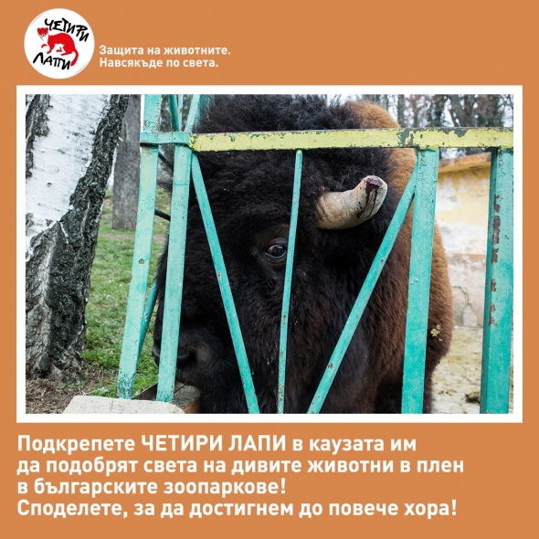 Зов за зоопарковете в Деня на българските зоопаркове 