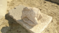 Подновиха разкопките в Хераклея Синтика 