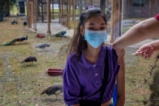 В зоологическата градина в Манила ваксинират срещу коронавирус