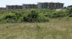 Бутат 1500 незаконни сгради тази година