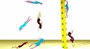 Банкери: Няма предпоставки за сваляне на лихвите