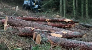 Производството на енергия от биомаса става приоритет