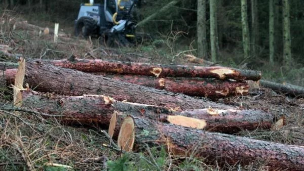 Производството на енергия от биомаса става приоритет