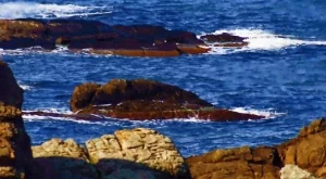 Учени от БАН измислиха как да произвеждат ток от Черно море