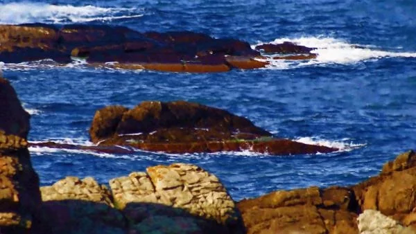 Учени от БАН измислиха как да произвеждат ток от Черно море