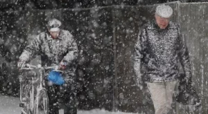 Островът се затваря за необразовани емигранти