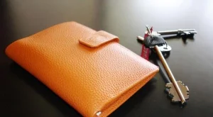 Шефове в Агенцията по вписванията си раздавали големи бонуси