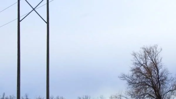 Отново спираме износа на електроенергия