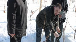 Изнасяме всеки втори литър вино