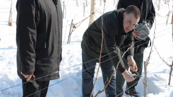 Изнасяме всеки втори литър вино