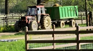 Субсидират земеделски фирми с 24 млн. лв. 