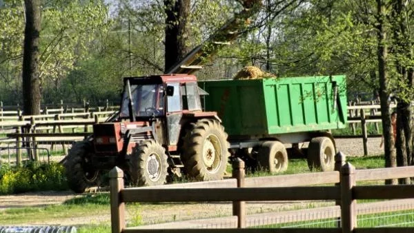 Субсидират земеделски фирми с 24 млн. лв. 