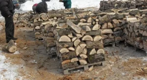 Търговията с дървесина на Стоковата борса няма да спре