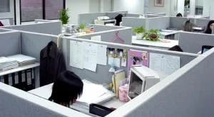 Специалисти по ИТ и чужди езици са най-търсени у нас