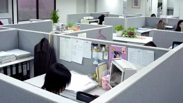 Специалисти по ИТ и чужди езици са най-търсени у нас