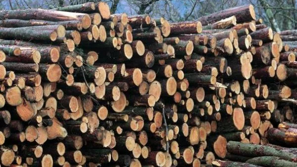 Над 55 млн. лева от ПРСР получават 48 предприятия