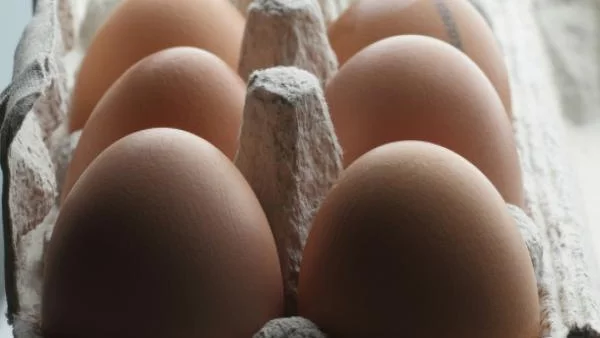 Внасяме яйца, за да овладеем спекулата