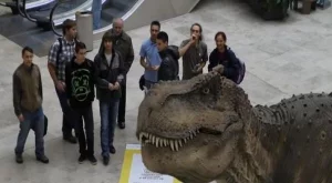 Храним динозаври и плуваме с делфини в мола (видео)