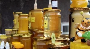 Започва Пчеломания в Добрич