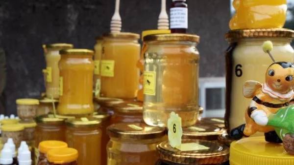 Започва Пчеломания в Добрич