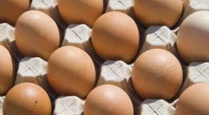 2012/03/28/0227757001380582794