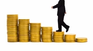 Каним индийски инвестиции