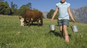 България е втора по спад на населението в селата в ЕС