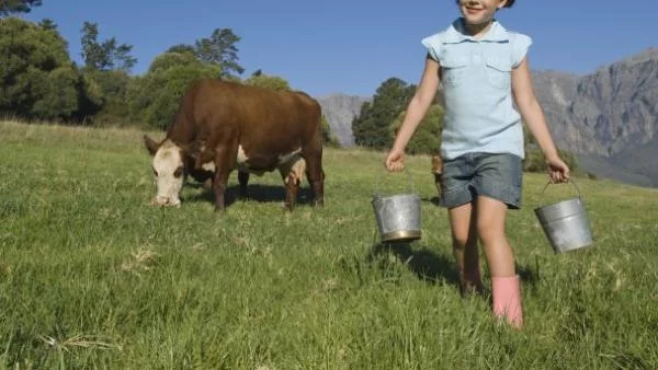 България е втора по спад на населението в селата в ЕС