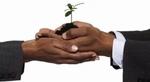 2012/04/03/0035339001380582440