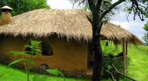 2012/04/09/0304380001380582133