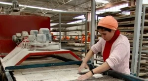 Кюстендил губи чужди инвеститори, мигрират в Македония