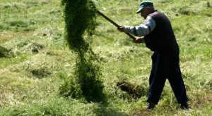 Земеделците получиха всички плащания за 2011