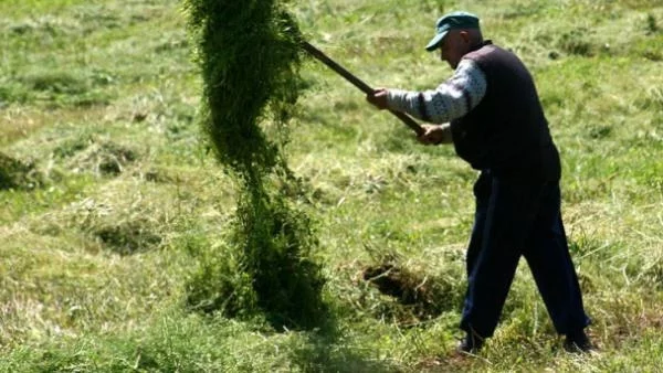 Земеделците получиха всички плащания за 2011