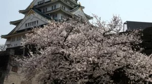 Япония се обръща към туризма, за да разбуди икономиката си