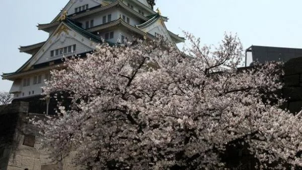 Япония се обръща към туризма, за да разбуди икономиката си