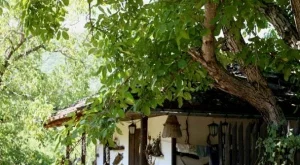 2012/04/26/0943141001380581351