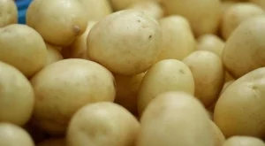5 млн. лева потичат към производителите на картофи