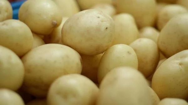 5 млн. лева потичат към производителите на картофи