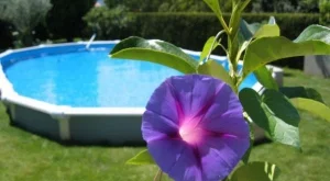 2012/05/11/0236883001380580758