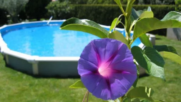 Подпомагат с 20 млн. лв. проекти в селата