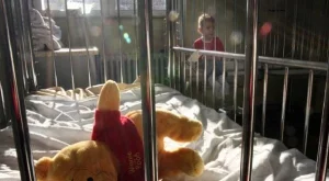 2012/05/15/0595498001380580553